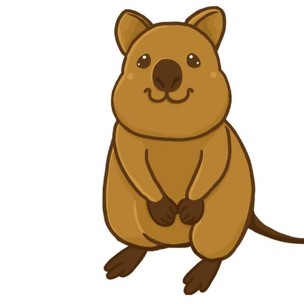 Квокки целуются