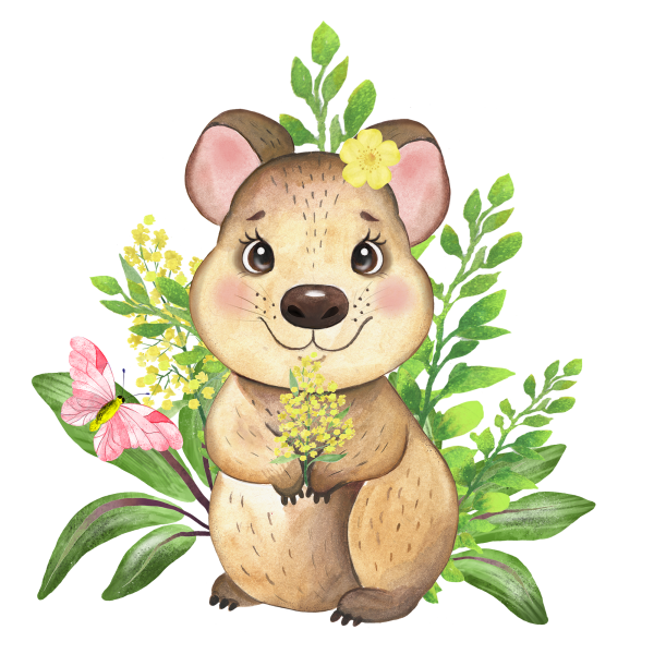 Квокка зарисовки