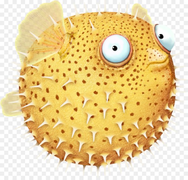 Иглобрюх рыба фугу