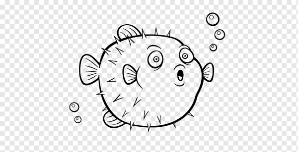 Рыба еж раскраска