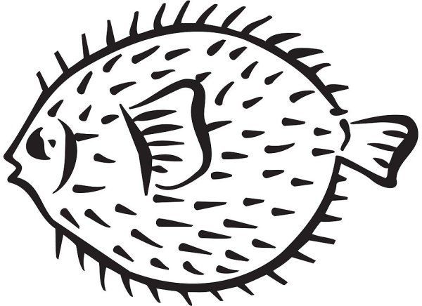 Рыба еж раскраска
