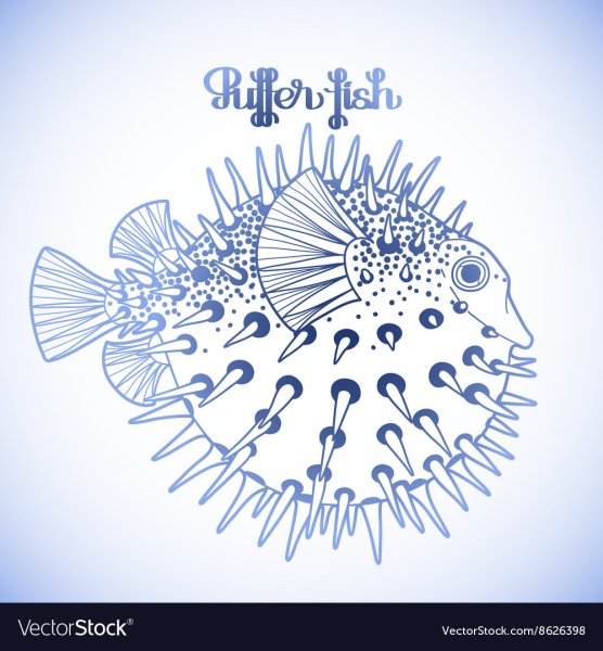Рыба фугу вектор