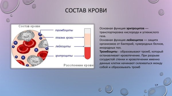 Составные элементы крови и их функции