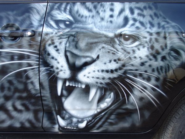 Аэрография на авто животные