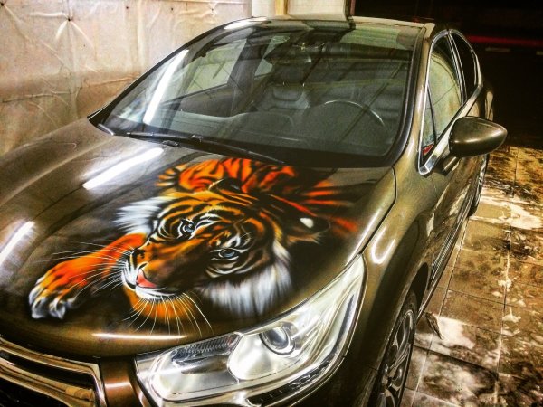 Таловиров Андрей аэрография