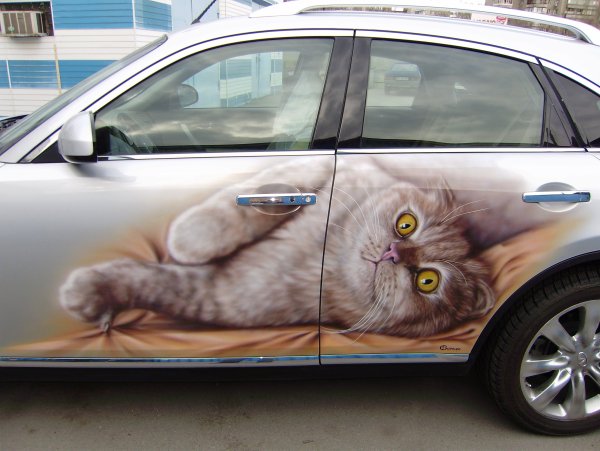 Аэрография на машине