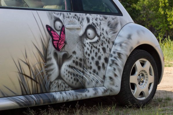 Мартин Хенгс аэрография