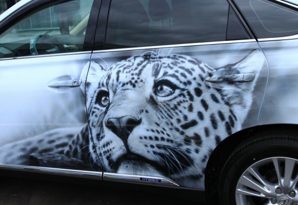 Аэрография на Mazda cx5