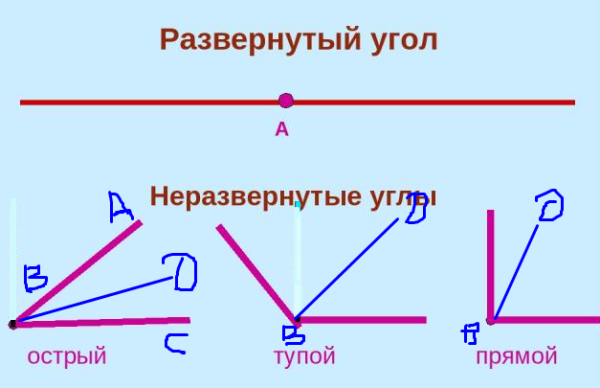 Развернутый угол