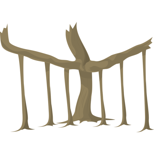 Дыхательные корни