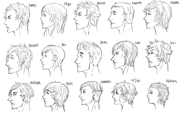 Пропорции головы человека анфас и профиль