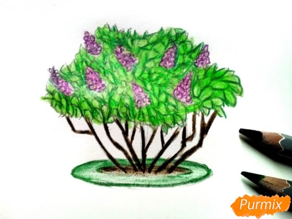 Кустики для детей рисование