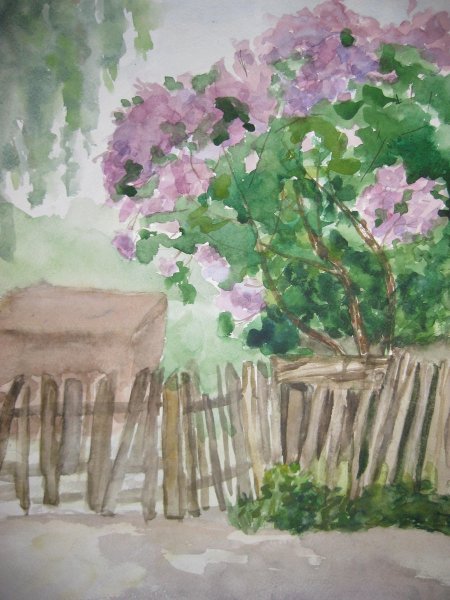 Куст сирени Куприн