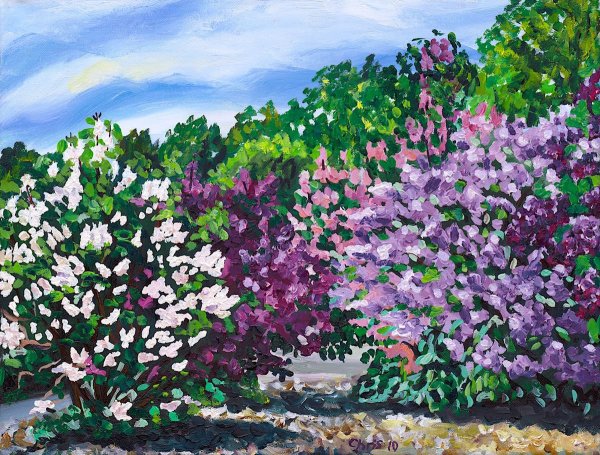 Кустарник красками