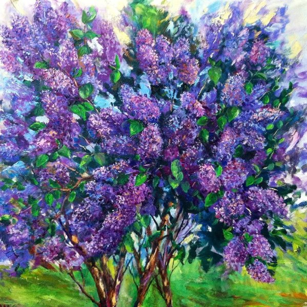 Гнатюк сирень