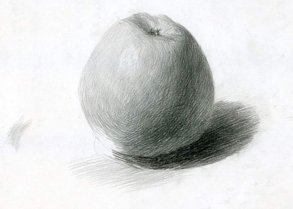 Натюрморт яблоко карандашом