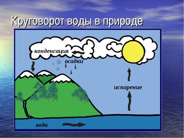 Круговорот воды в природе схема 3 класс окружающий мир