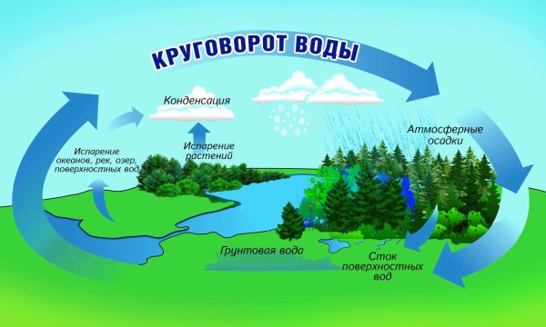 Круговорот воды в природе схема