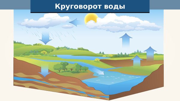 Круговорот воды в природе картинки