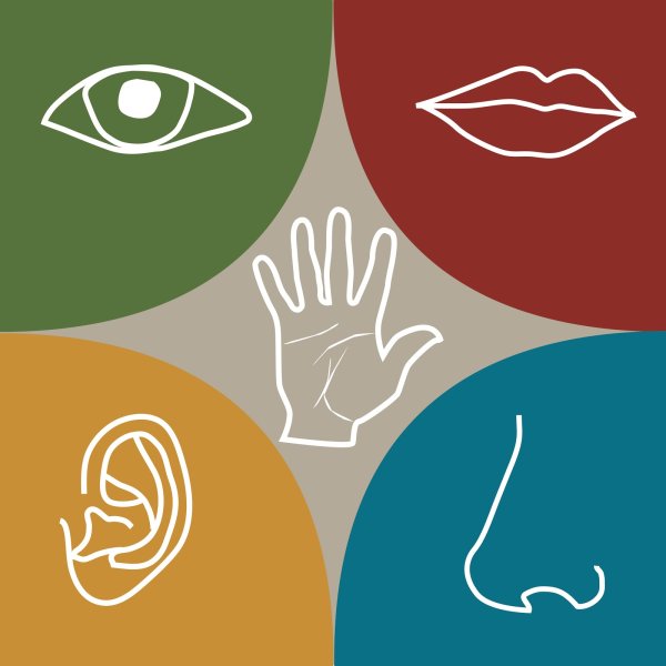 Чувства восприятия