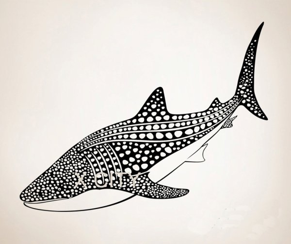 Китовая акула для детей