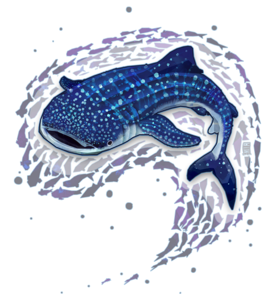 Китовая акула узор