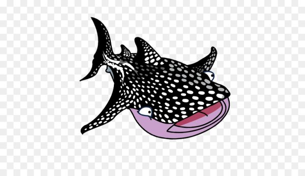 Нарисовать китовую акулу