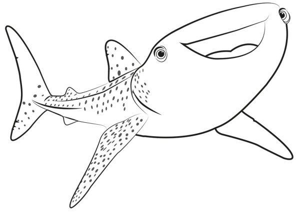 Китовая акула раскраска