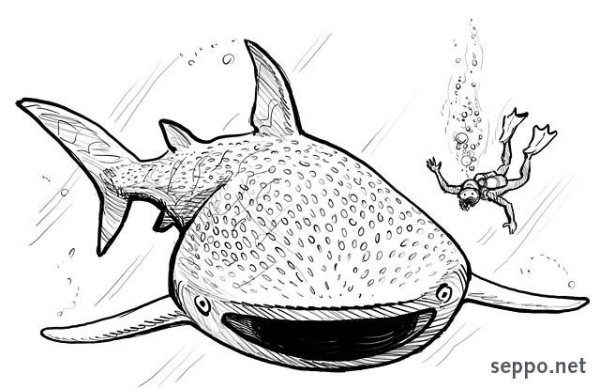 Китовая акула раскраска