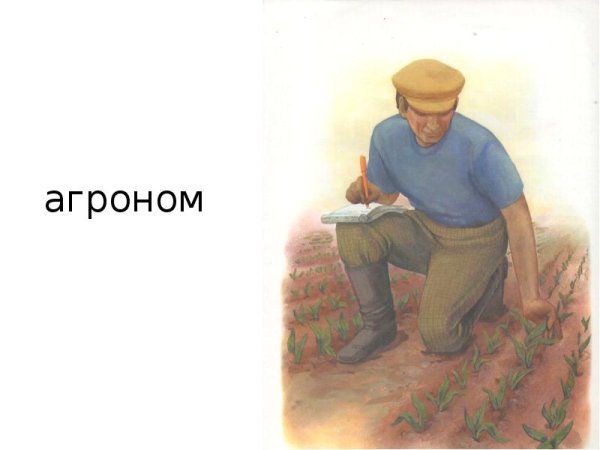 Агроном рисунок профессии