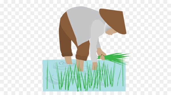 Агроном вектор