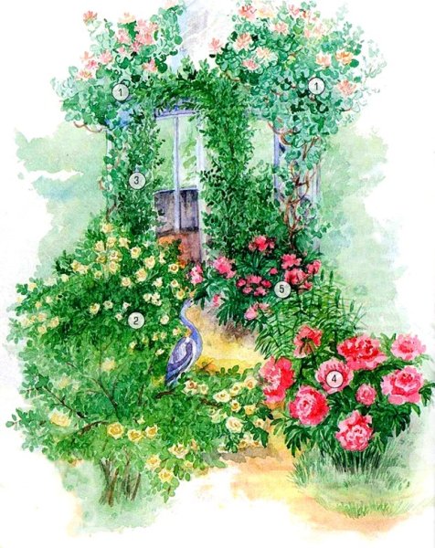 Миксбордер с плетистой розой