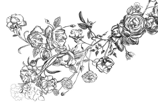 Графическое изображение