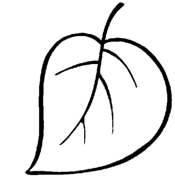 Листик раскраска