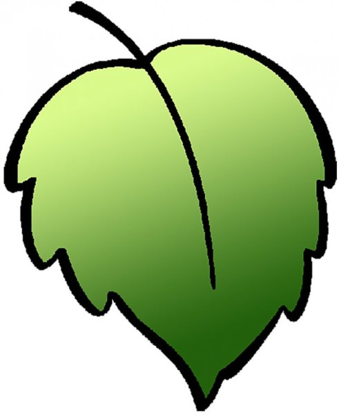 Зеленый лист дерева