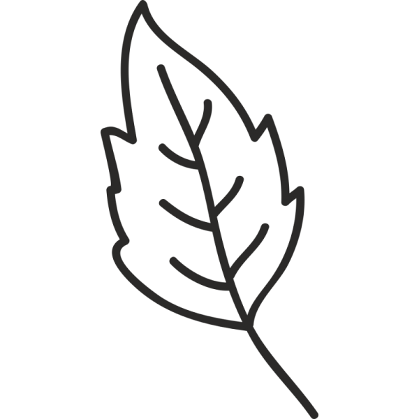 Шаблоны листьев