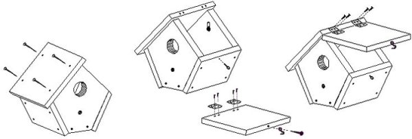 Зимующие птицы здания для детей