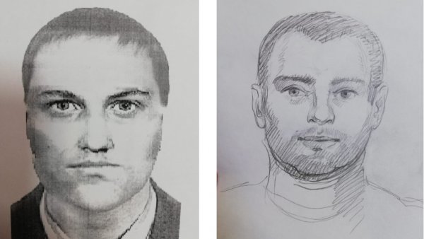 Даниловский МАНЬЯК Череповец фоторобот