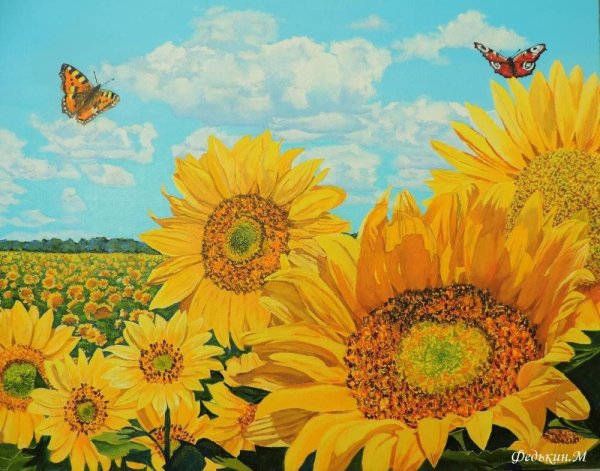 Картина поле подсолнухов