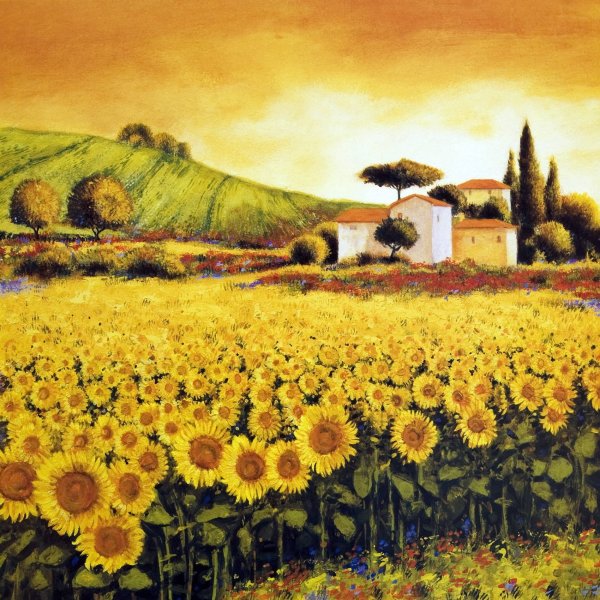 Поле подсолнухов арт