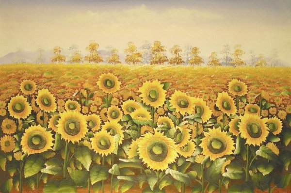 Нарисовать поле подсолнухов