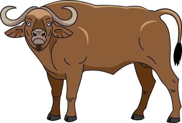 Буйвол для детей