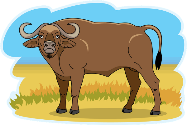 Буйвол вектор