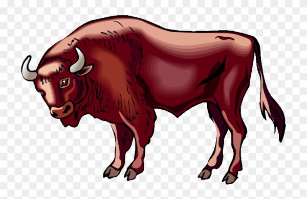 Буйвол для детей