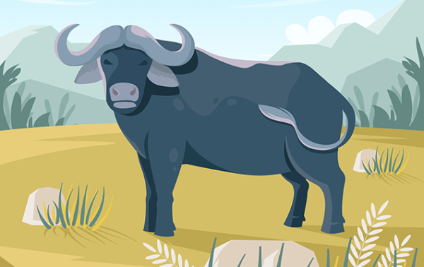 Буйвол вектор