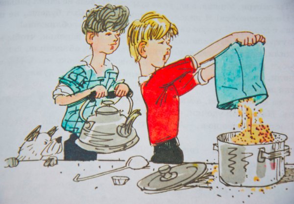 Николай Носов Мишкин каша