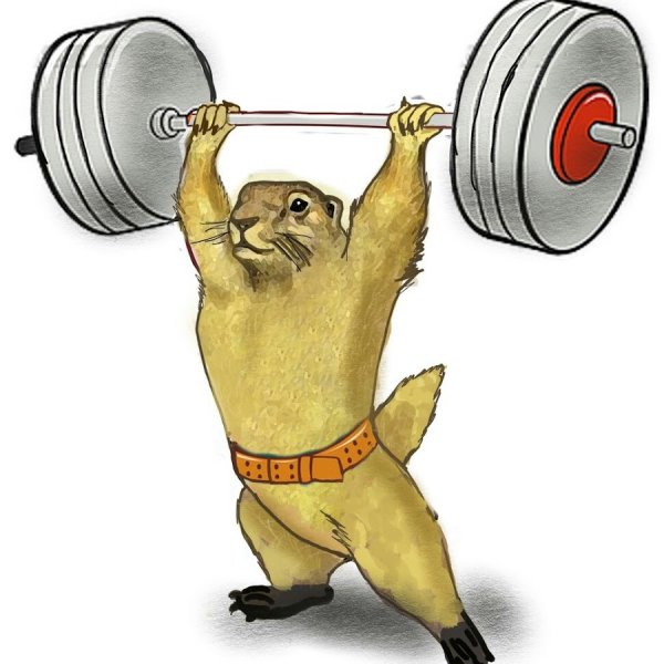 Медведь штангист