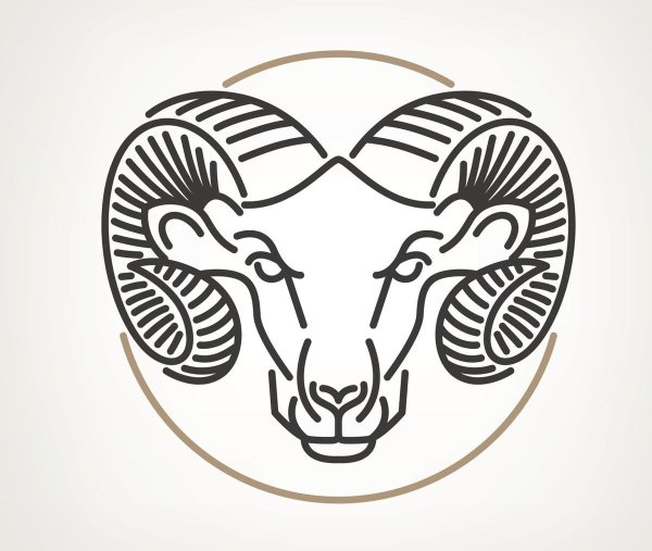 Голова овна