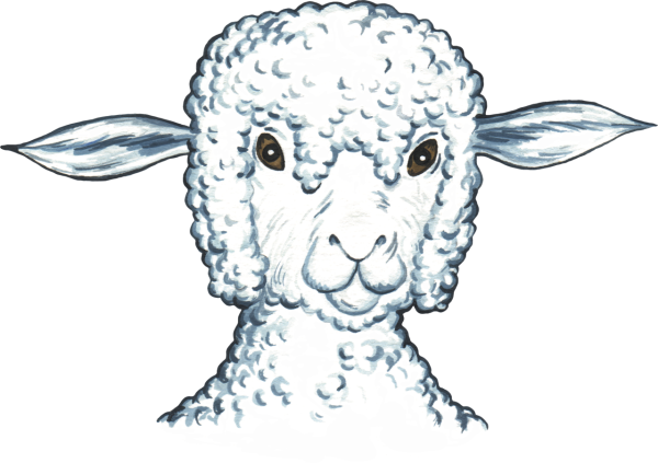 Голова барана