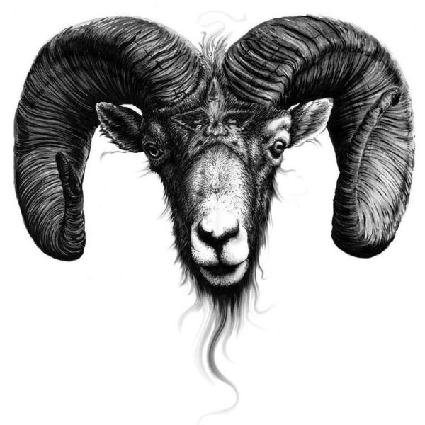Тату голова барана